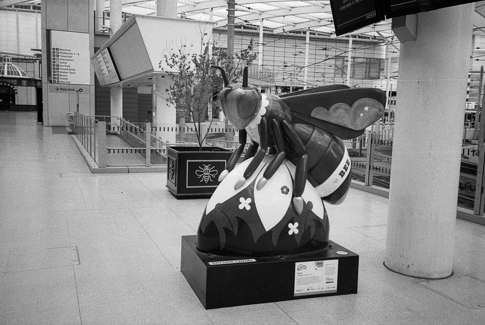 Manchester Worker Bee